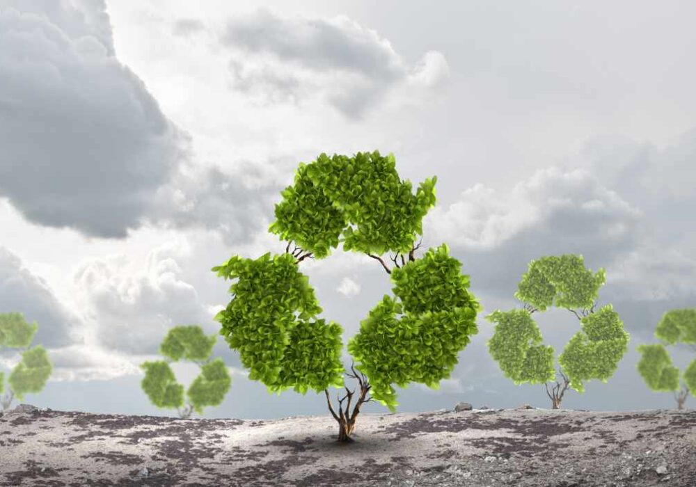 What does a circular economy for the paint industry look like?