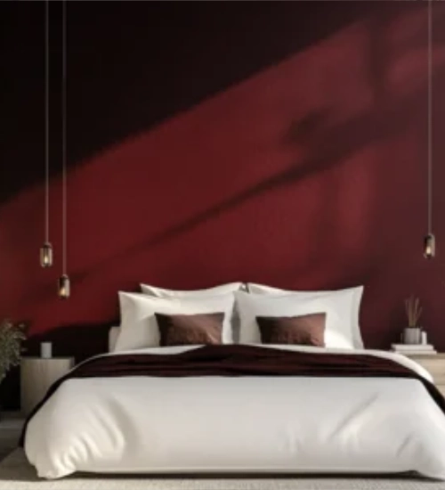 inspiration carousel large-500x550-01