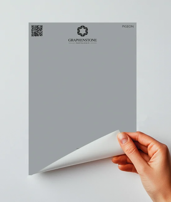 Peel & Stick - Pigeon