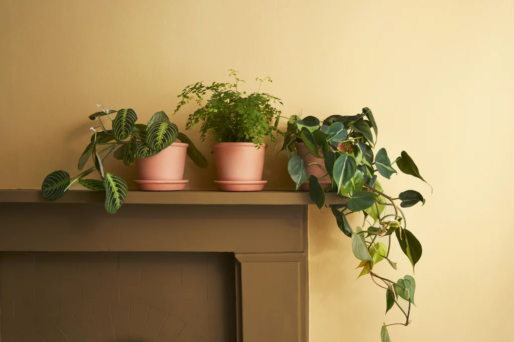 Greener materials for better spaces